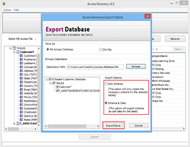 Select Output file format between MS Access Database or CSV file